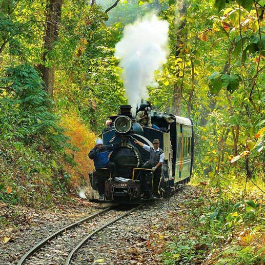 Relaxing Darjeeling